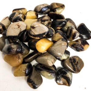 Septarian