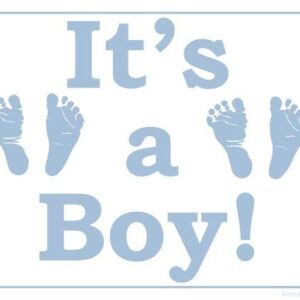 Florists Choice Baby Boy Arrangement