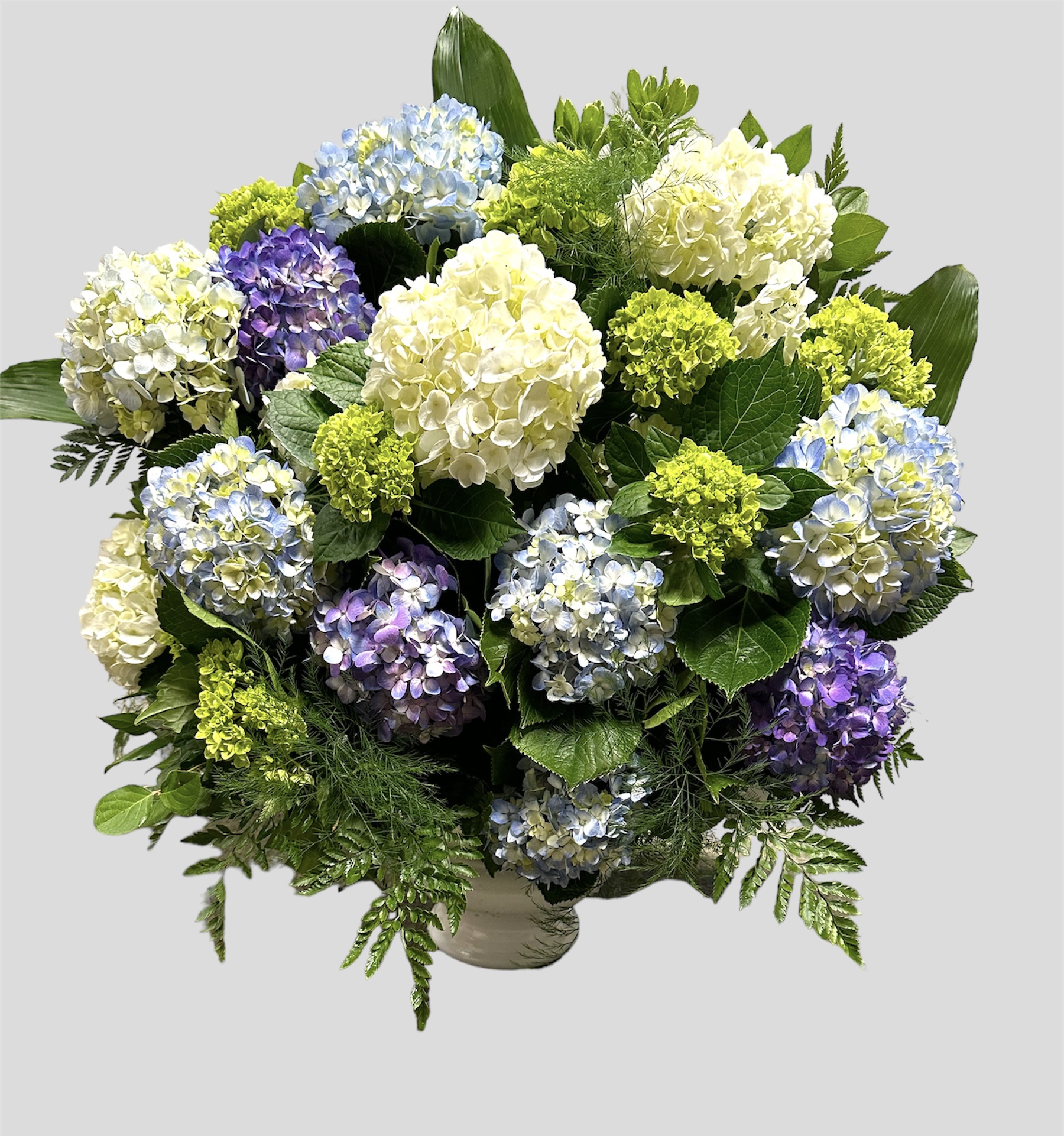 Hydrangea Basket